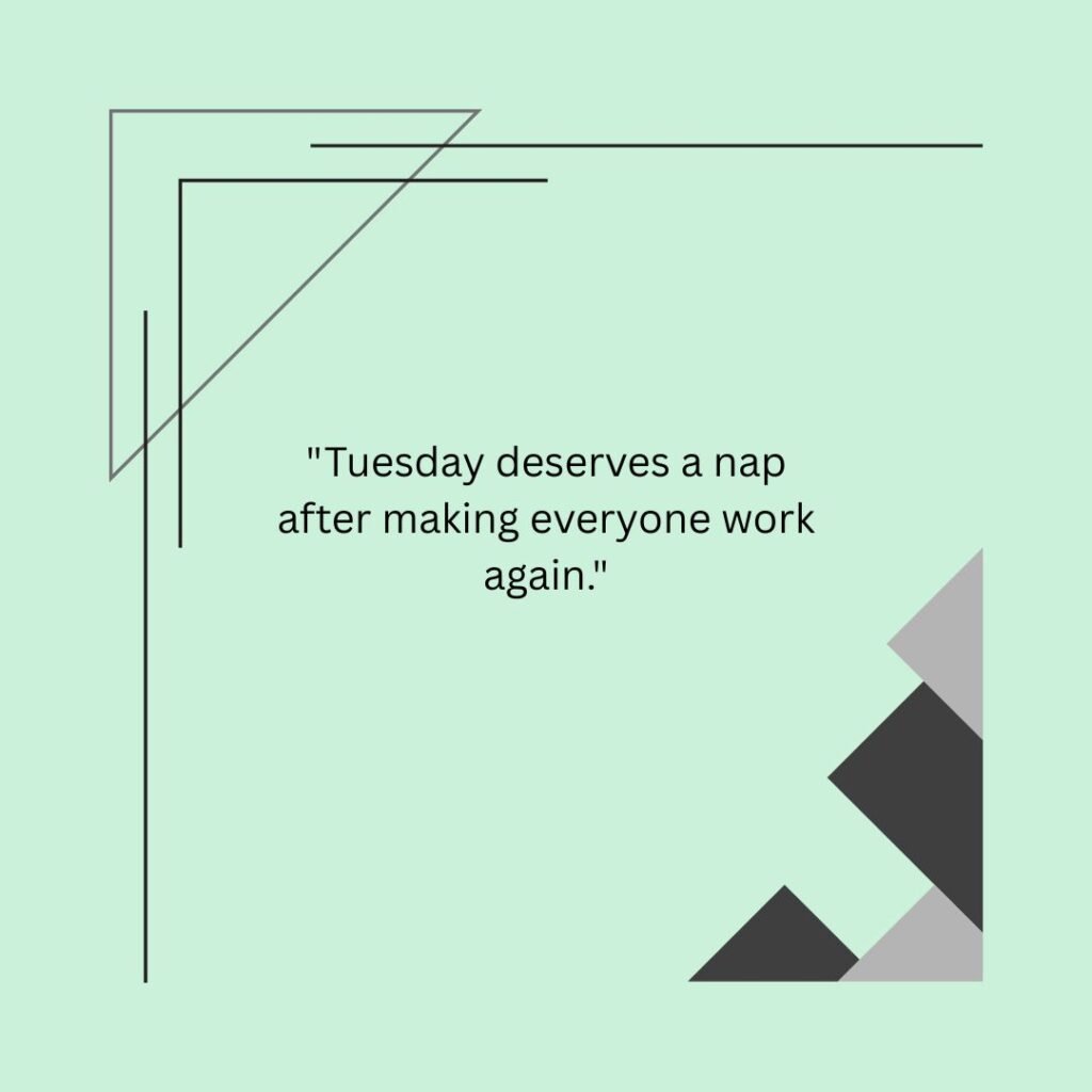Tuesday deserves a nap after making everyone work again.